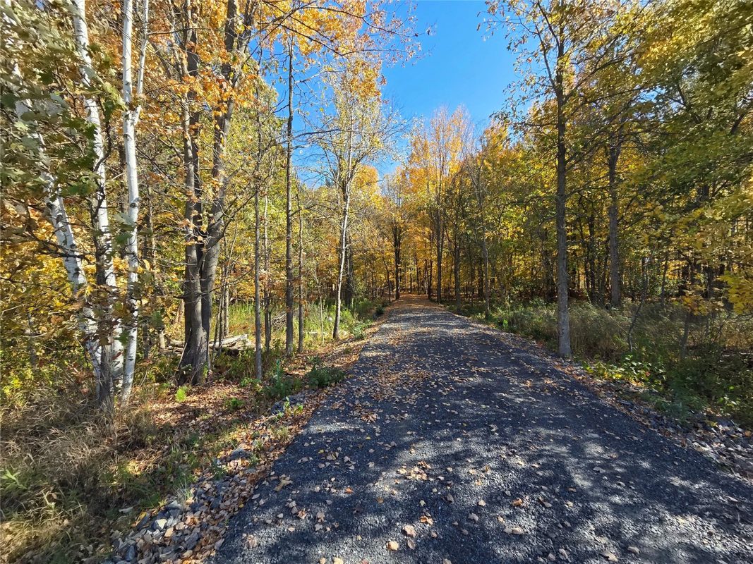 2541 County Hwy D, Boyd WI 54726 - Land house for sale - MLS #1605930 - image2