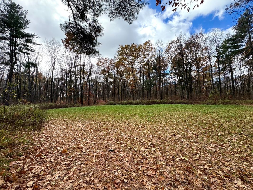 208220 Kane Lane, Mosinee WI 54455 - Land house for sale - MLS #1606074 - image2