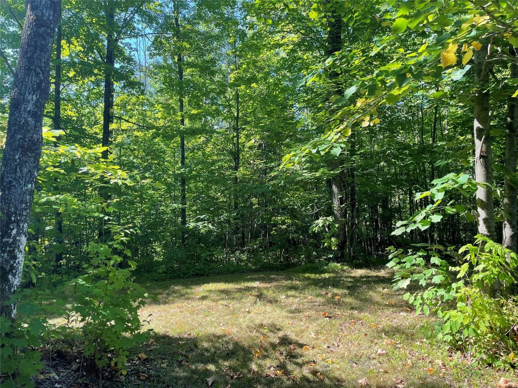 7154 McDermott Road, Winter WI 54896 - Residential house for sale - MLS #1604729 - image40