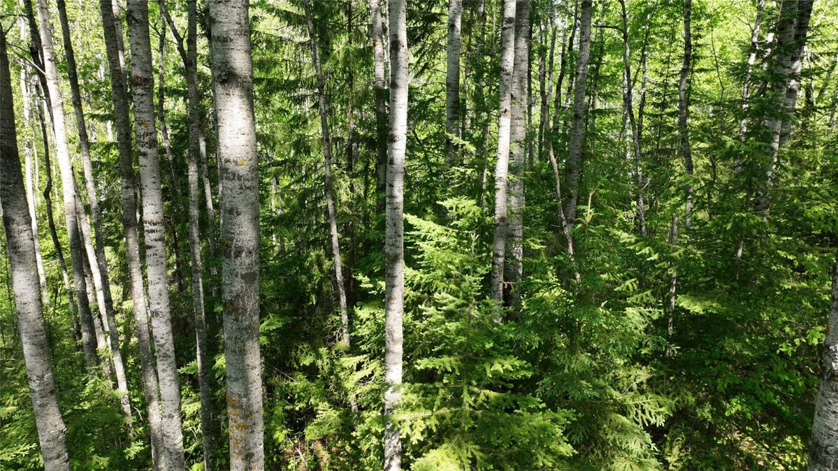1640 County Road W, Superior WI 54880 - Land house for sale - MLS #1602205 - image32