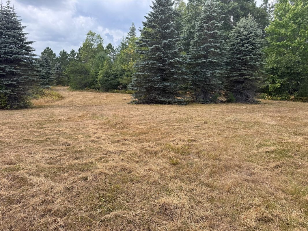 900 County Road A, Tomahawk WI 54487 - Land house for sale - MLS #1604619 - image36