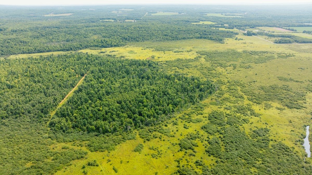 0 28th Street, Chetek WI 54728 - Land house for sale - MLS #1604329 - image23