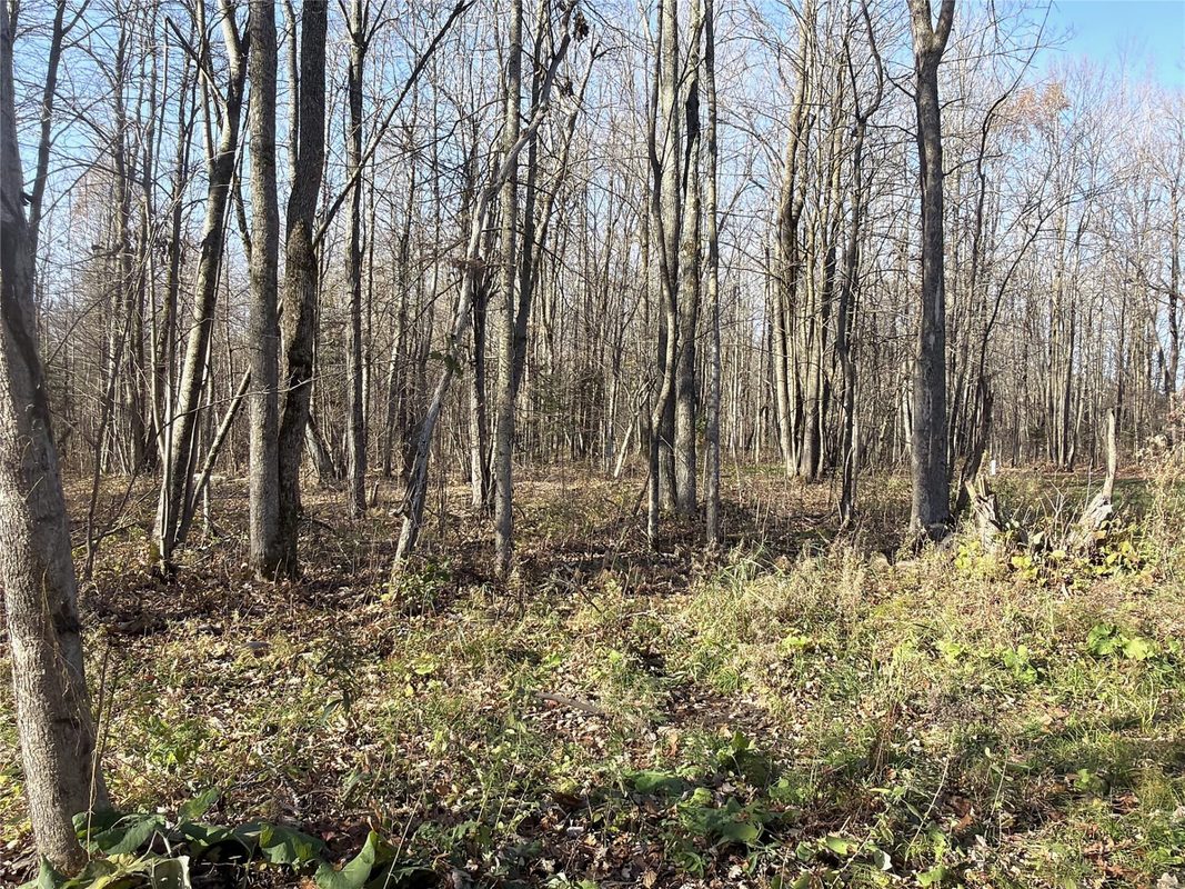 3621 Town Line Road, Glen Flora WI 54526 - Residential house for sale - MLS #1606236 - image30