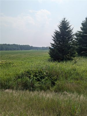 Lot 4 County Highway W  Holcombe WI 54745