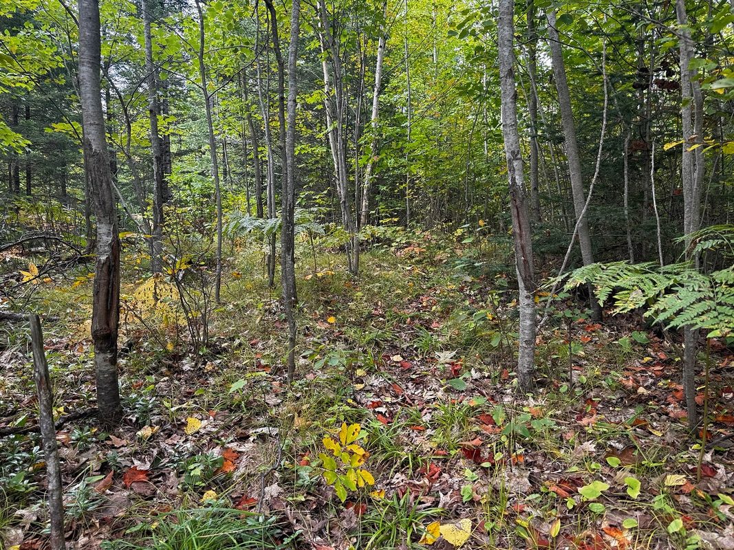 000 Winter Road, Elcho WI 54424 - Land house for sale - MLS #1605846 - image42