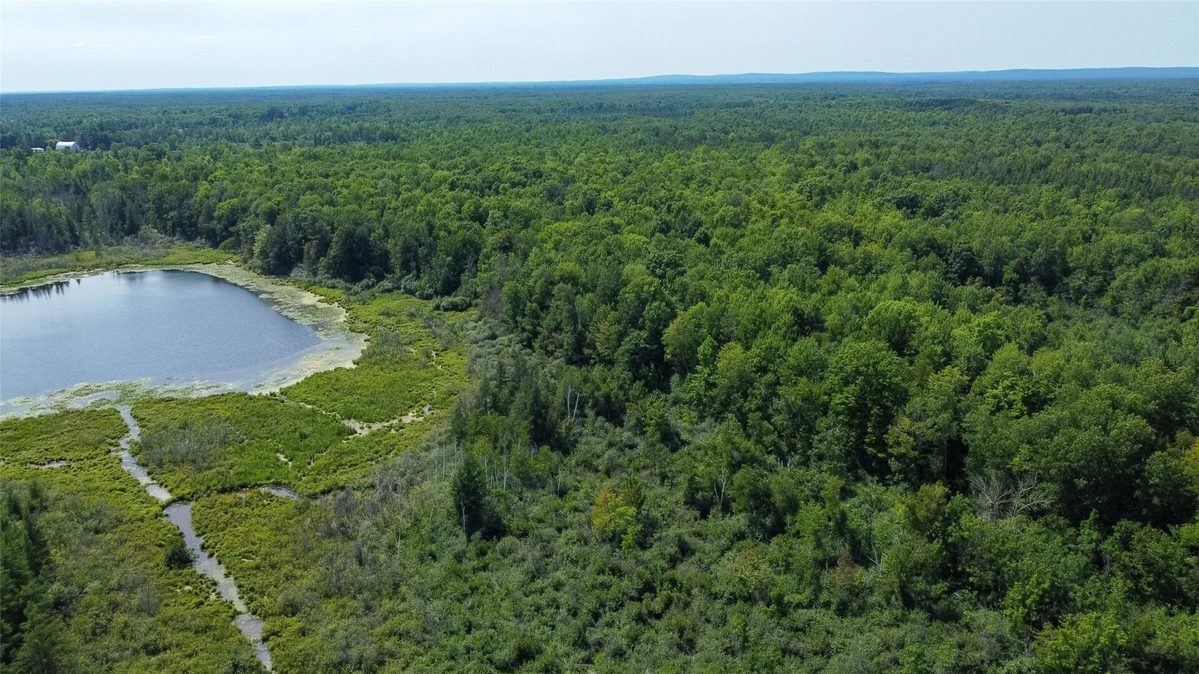 W8946 US Highway 8, Ladysmith WI 54848 - Land house for sale - MLS #1605125 - image2