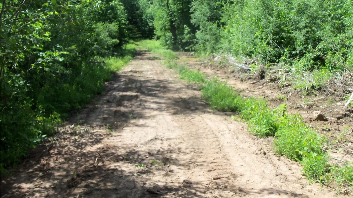 XXX Bashaw Store Road, Shell Lake WI 54871 - Land house for sale - MLS #1603494 - image26