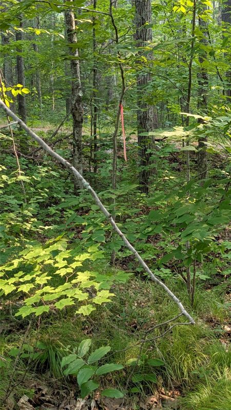 Lot 4 County Highway CC, Couderay WI 54828 - Land house for sale - MLS #1603366 - image11