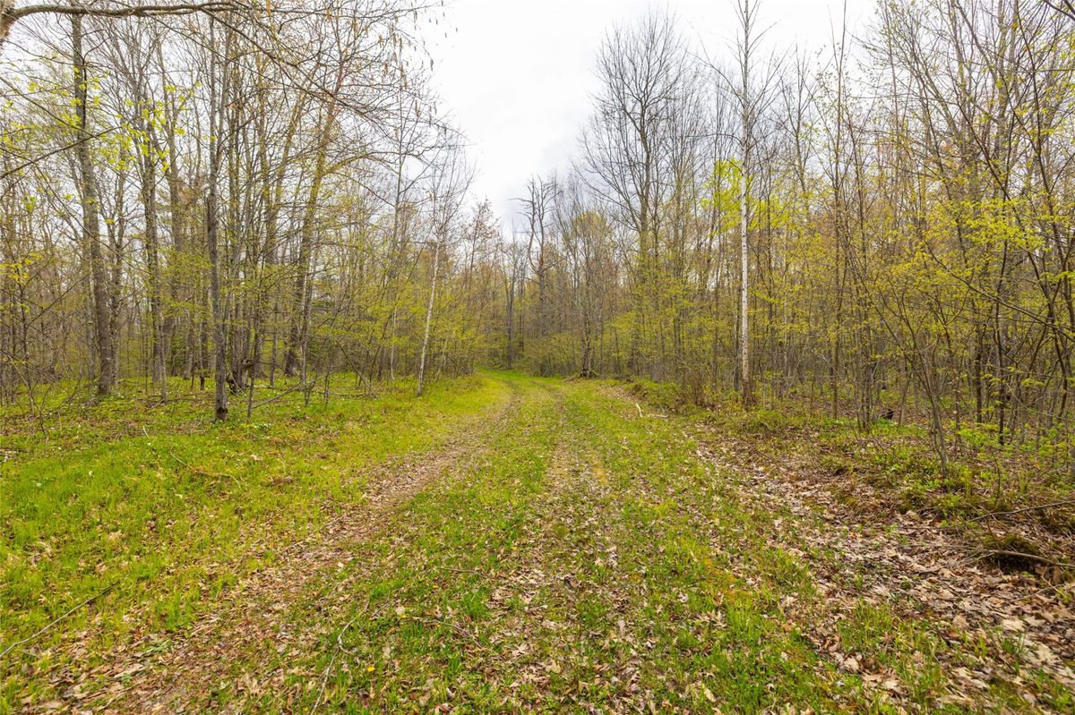 5807 Strom Road, Winter WI 54896 - Residential house for sale - MLS #1601343 - image25