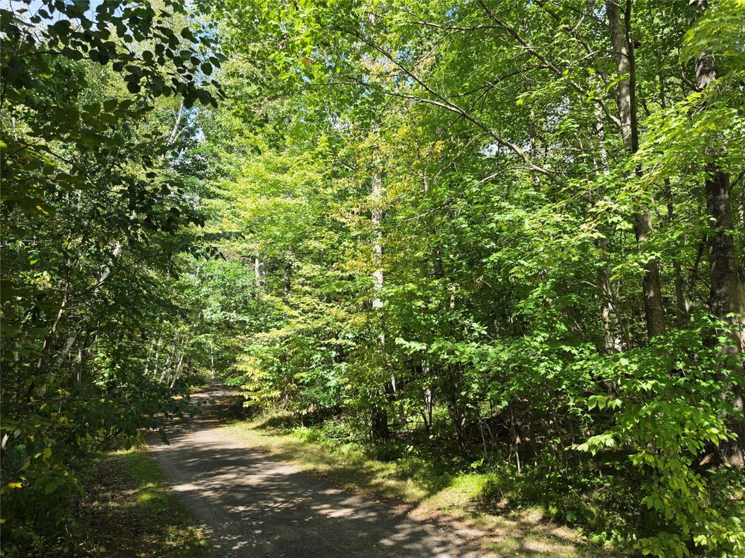 7183 Fremsted Road, Danbury WI 54830 - Land house for sale - MLS #1604943 - image17