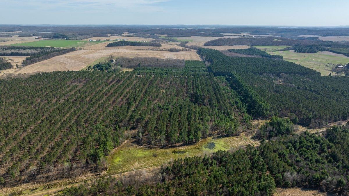 Land at 0 Prairie Road, Osseo, WI 54758 — photo 14
