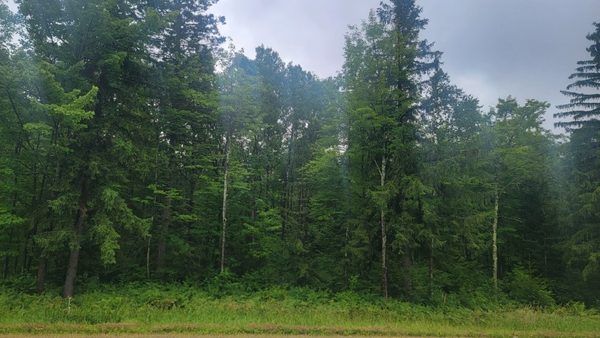 N4651 Pennington Road Prentice WI 54556