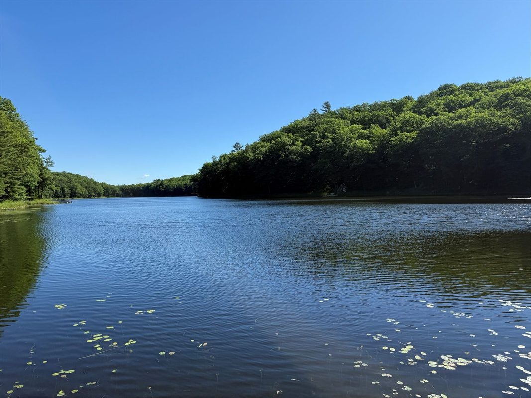 N888 Leach Lake Road, Barronett WI 54813 - Residential house for sale - MLS #1601192 - image2