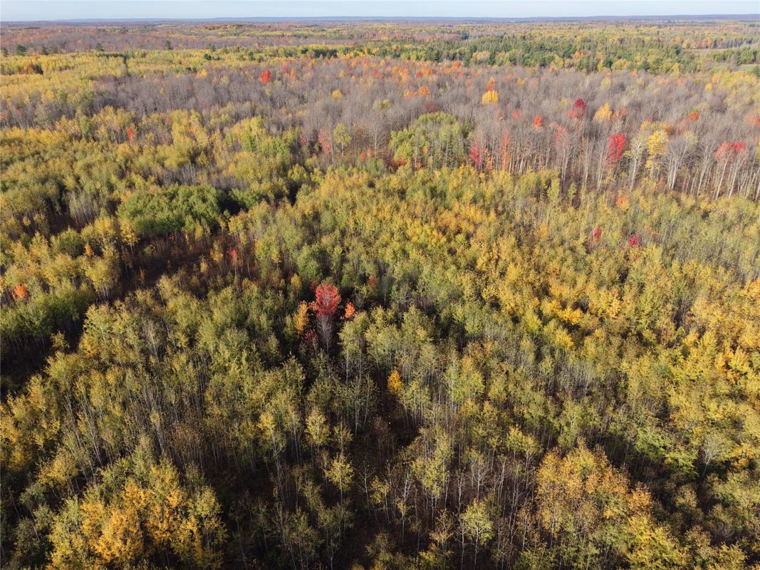 On County Highway W, Winter WI 54896 - Land house for sale - MLS #1605419 - image20
