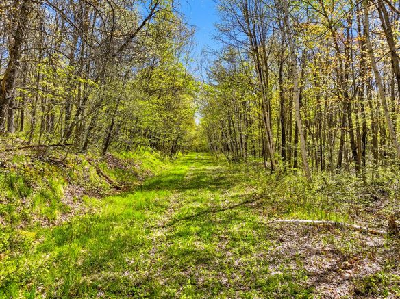 W6474 River Road, Trego WI 54888 - Land house for sale - MLS #1601245 - image1
