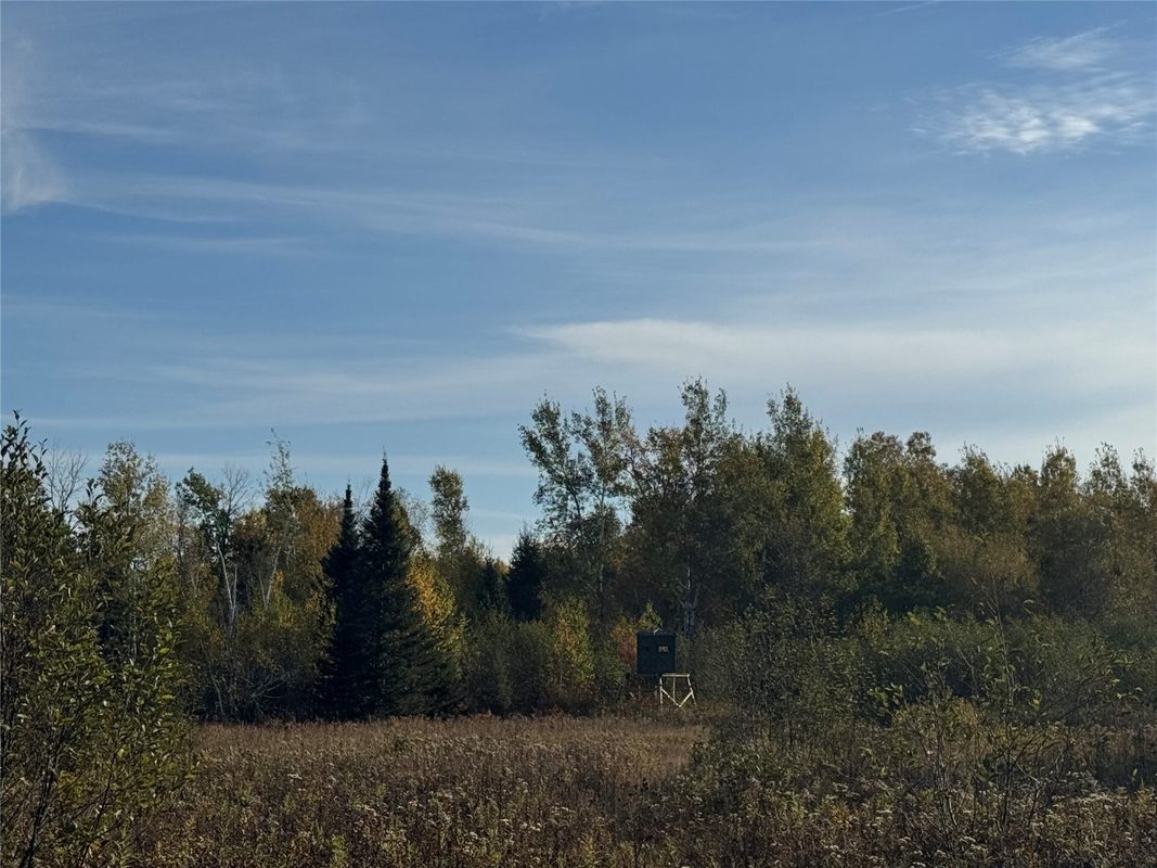 W11199 Edgewood Avenue, Bruce WI 54848 - Land house for sale - MLS #1605749 - image25