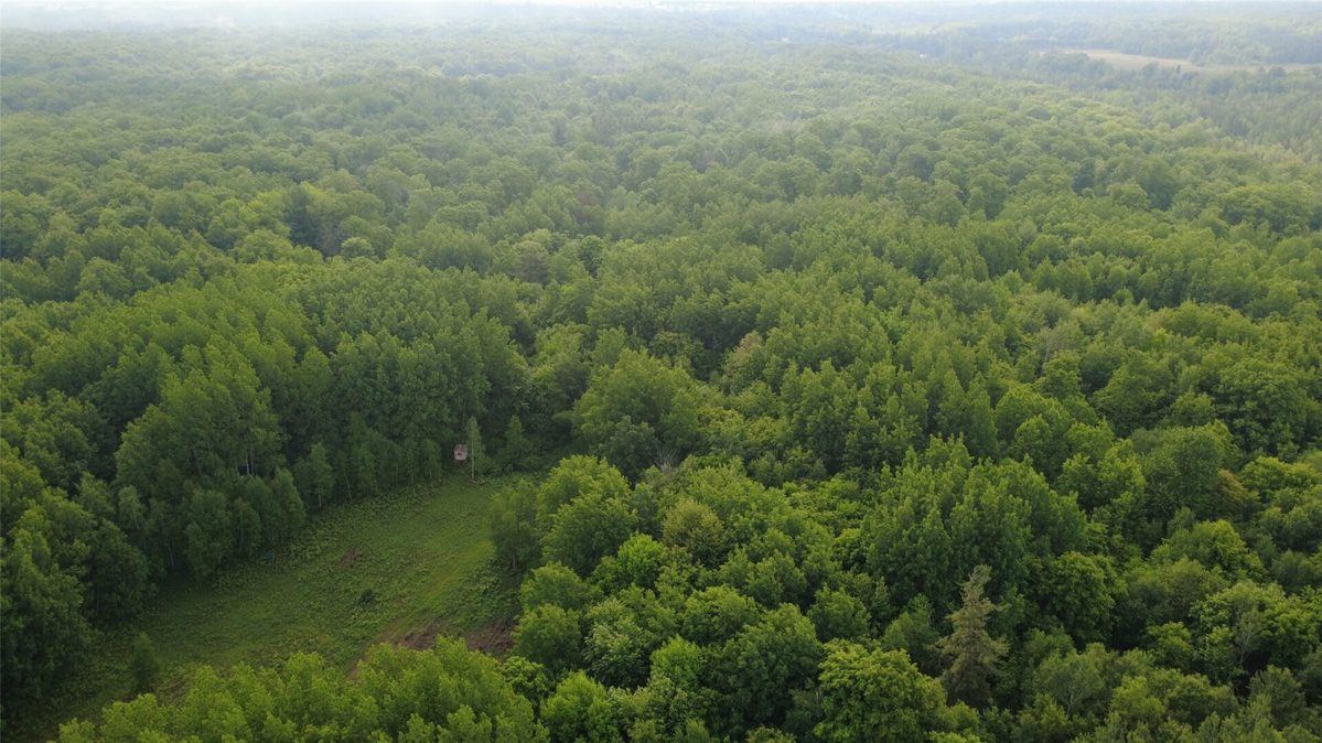 000 Boundary Road, Ringle WI 54471 - Land house for sale - MLS #1602183 - image21
