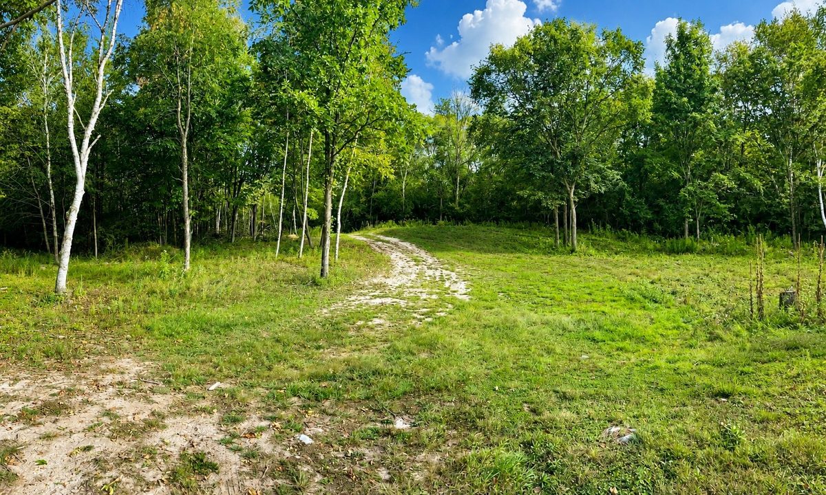 110 90th Avenue, Clayton WI 54004 - Land house for sale - MLS #1604843 - image4