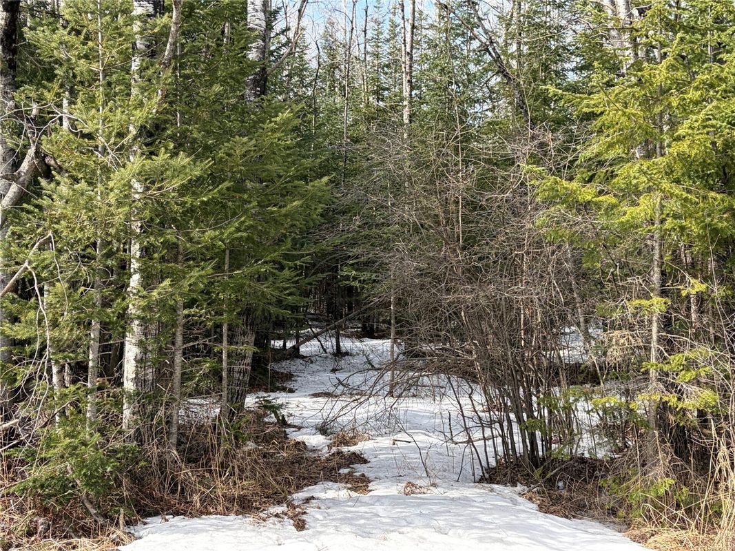 ON CTH F Park Falls WI 54552 — photo 5