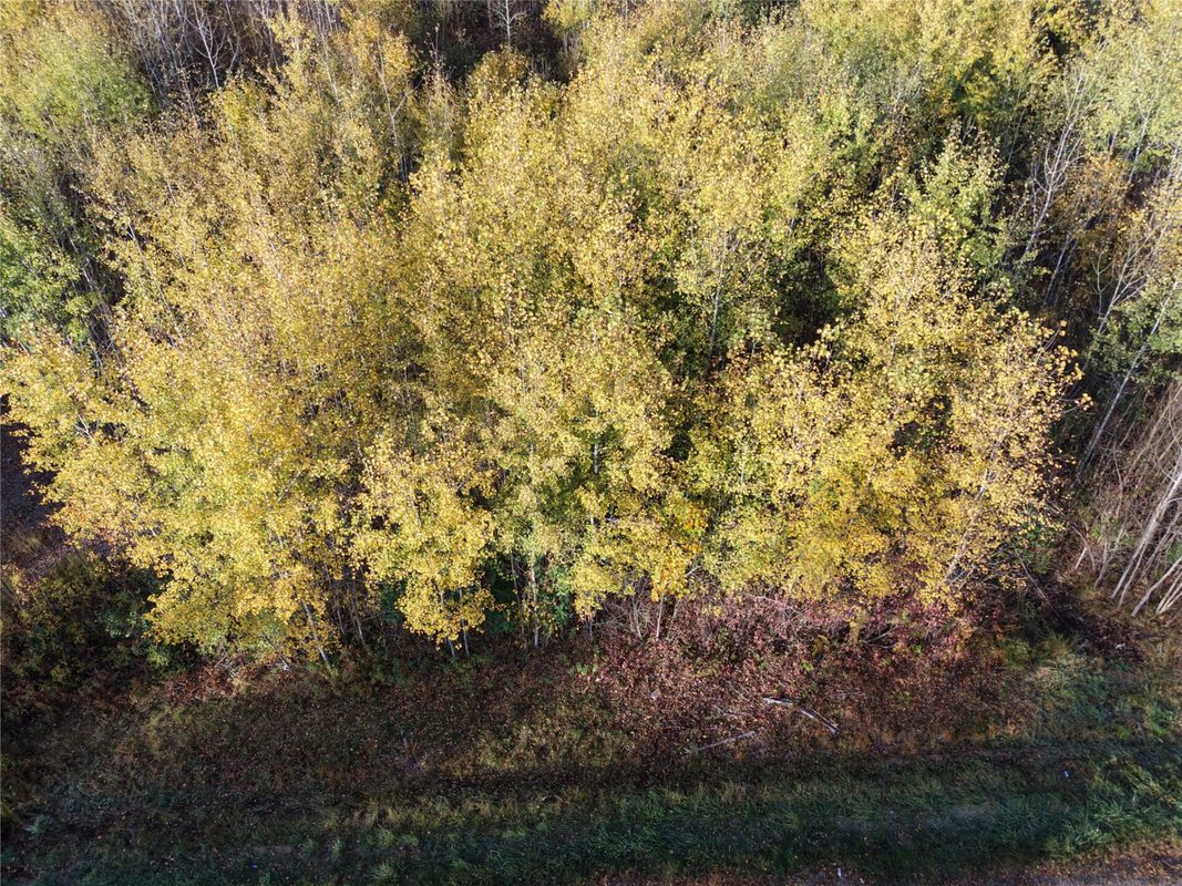 On County Highway W, Winter WI 54896 - Land house for sale - MLS #1605419 - image24