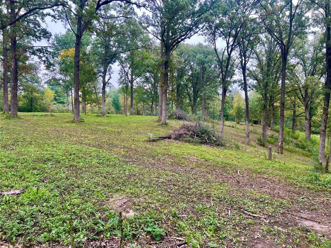 Lot 28 21st Street, Rice Lake WI 54868 - Land house for sale - MLS #1603229 - image23