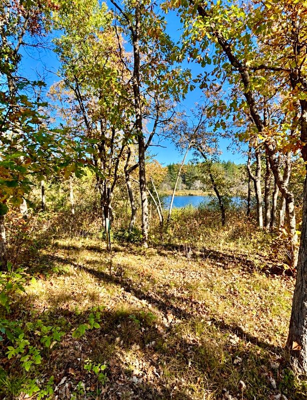 9524 Bergin Springs Road, Solon Springs WI 54873 - Land house for sale - MLS #1605714 - image2