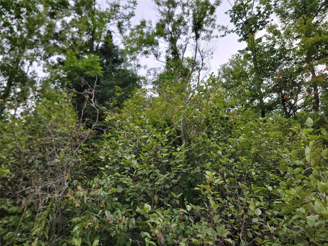 5522N County Highway G, Winter WI 54896 - Land house for sale - MLS #1605127 - image9