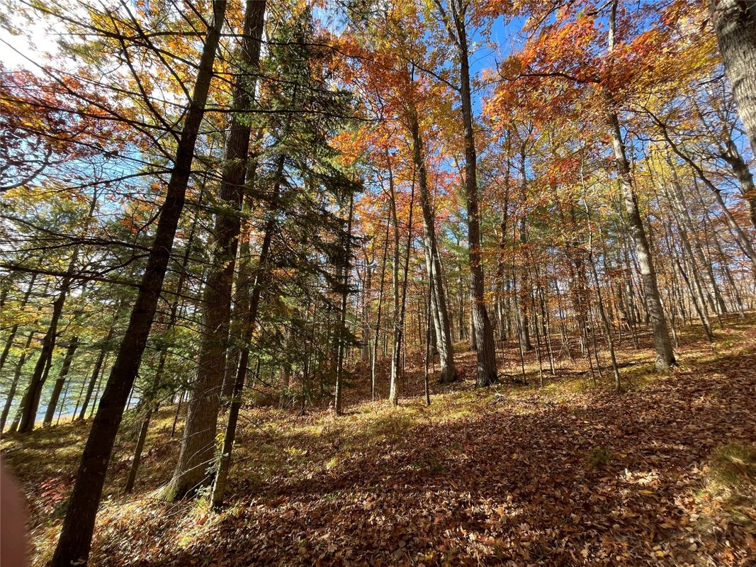 7 W Tanager Trail, Hayward, WI — photo 26