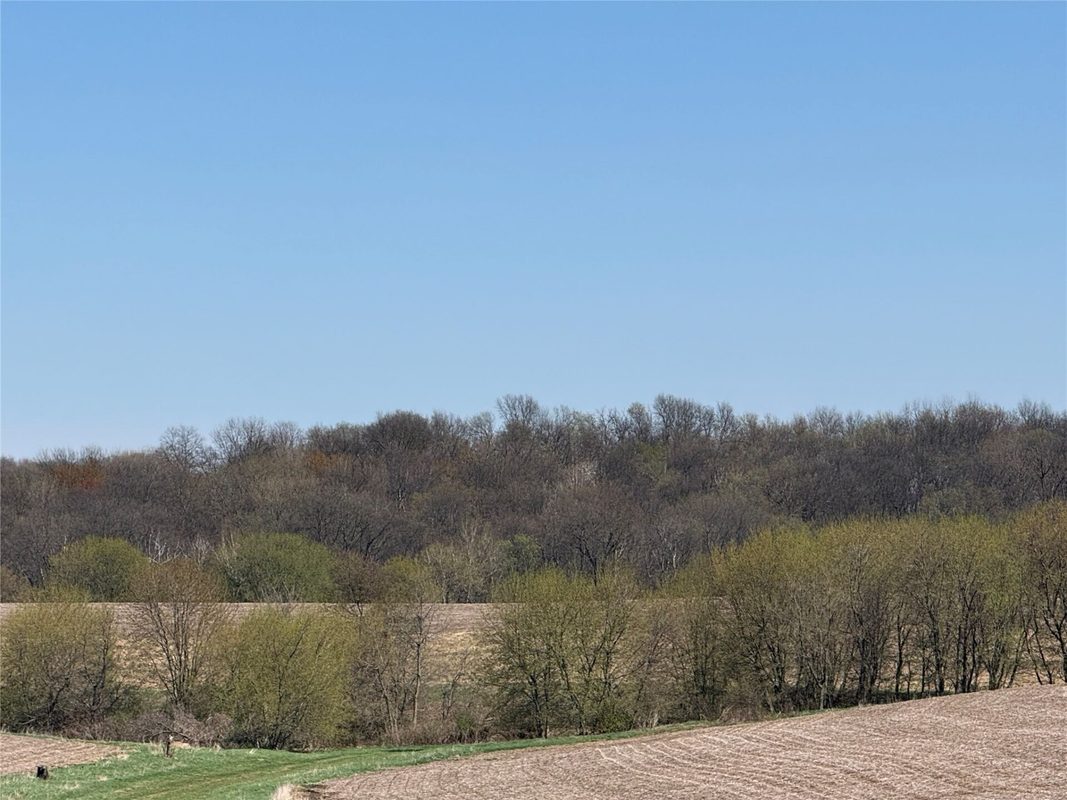 Land at 00 County Road CC, Pepin, WI 54759 — photo 3