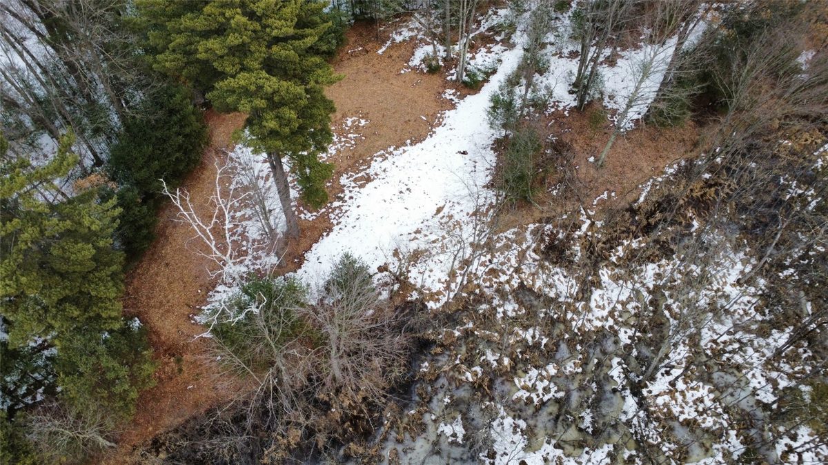 Land at OOO LAKE RD, Clintonville, WI 54929 — photo 16