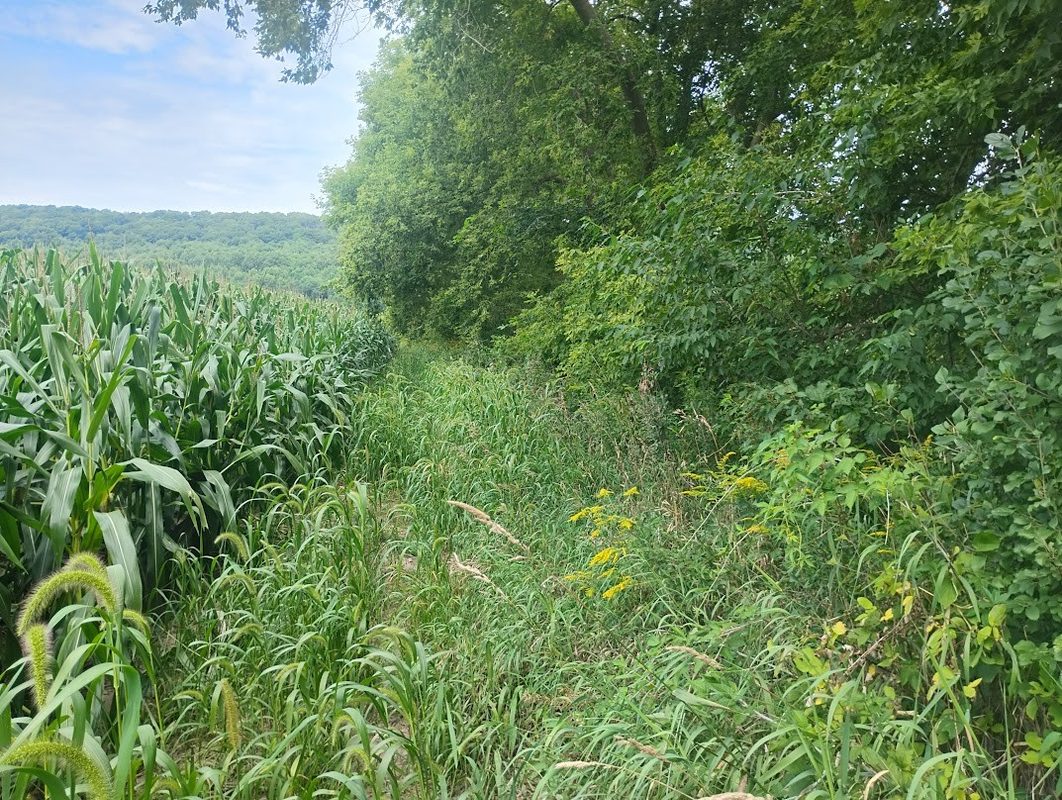 0 1130th, Colfax WI 54730 - Land house for sale - MLS #1604452 - image11