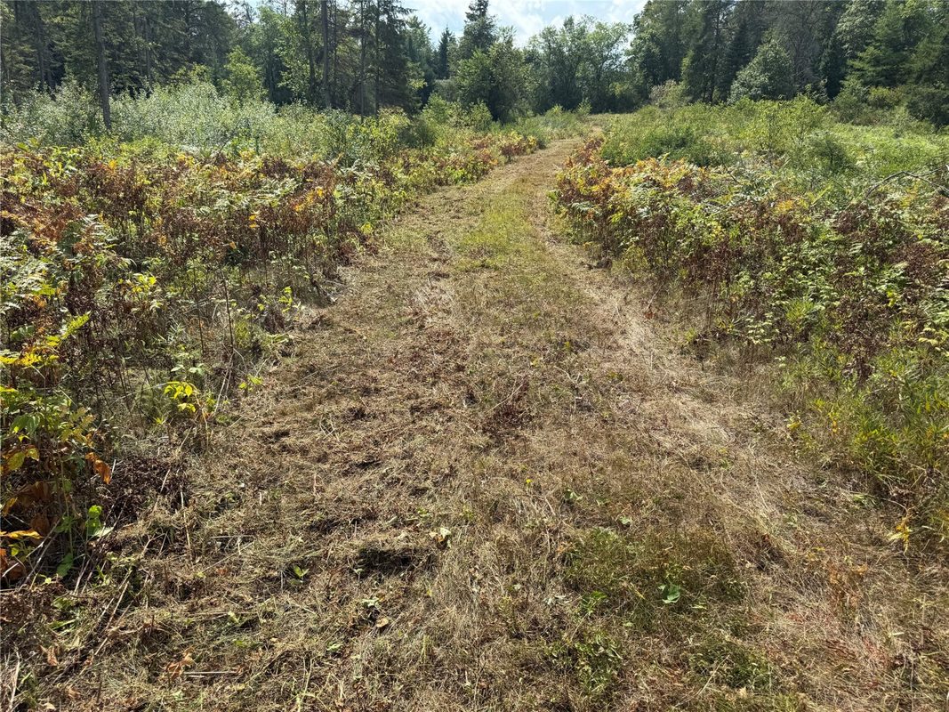 900 County Road A, Tomahawk WI 54487 - Land house for sale - MLS #1604619 - image22