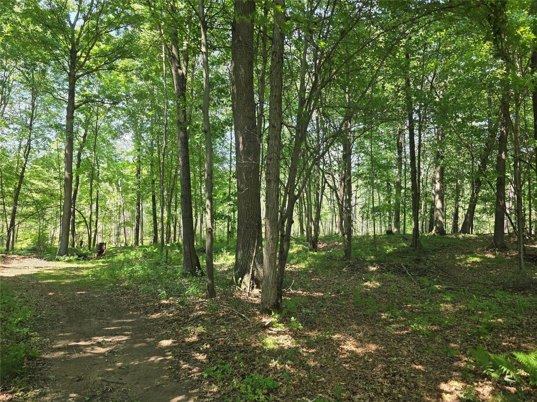 660 27 3/4 Street, Chetek WI 54728 - Residential house for sale - MLS #1603625 - image11