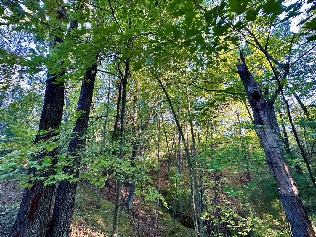 S3678 County Road N, Augusta WI 54722 - Land house for sale - MLS #1605865 - image29