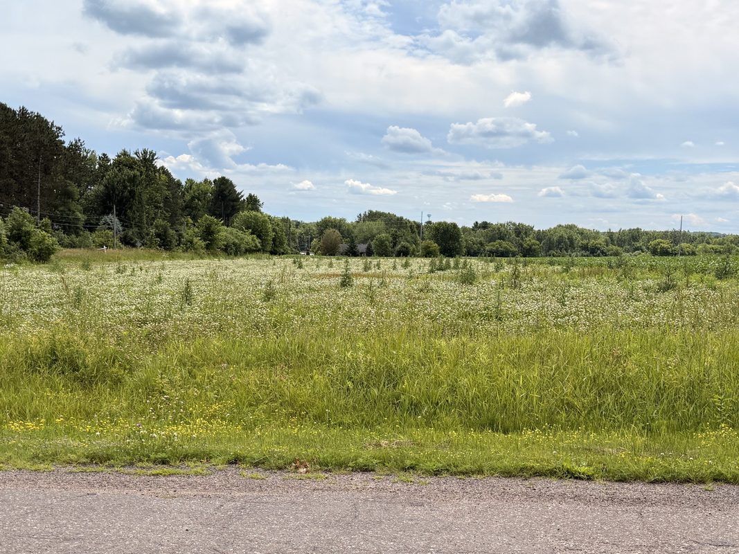 Lot 1 Main Street, Cadott WI 54727 - Land house for sale - MLS #1589809 - image5