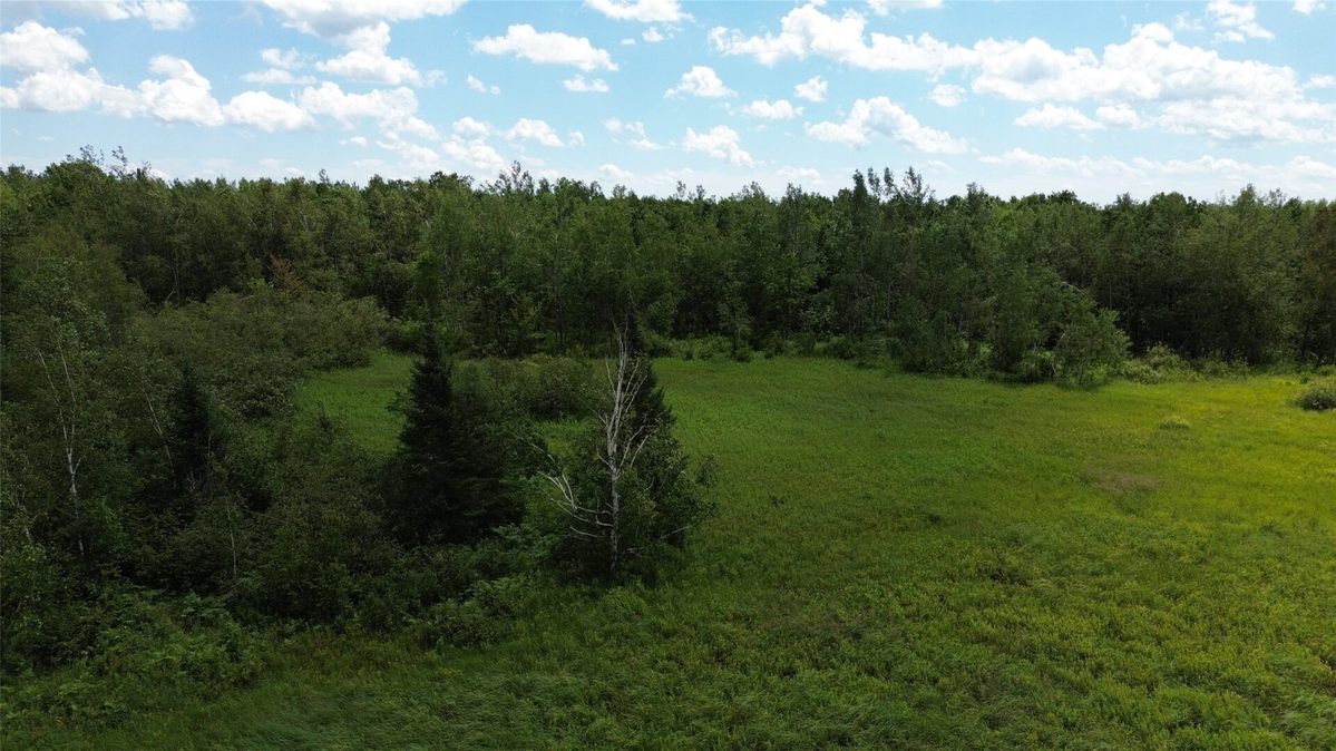 11199 Edgewood Avenue, Bruce WI 54848 - Land house for sale - MLS #1605749 - image10
