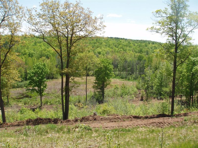 Lot 1 On Highway 169 