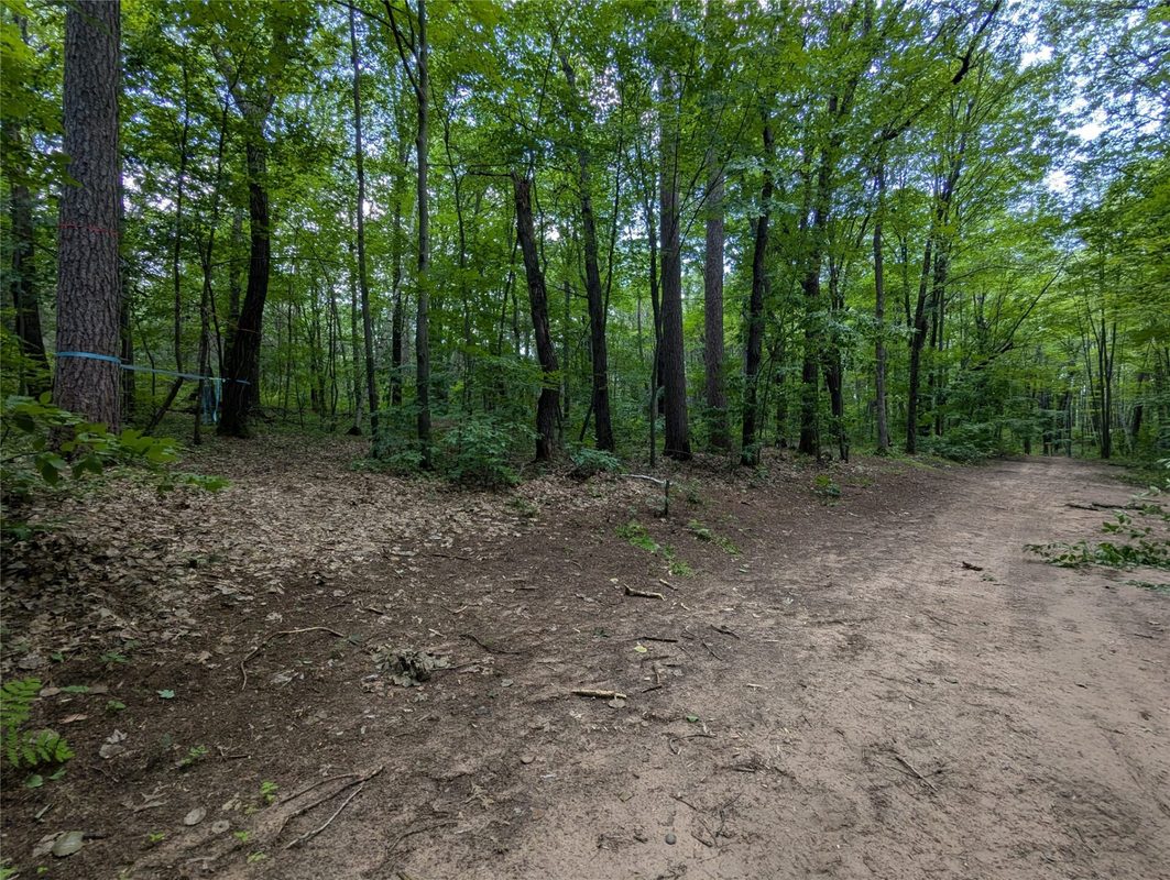 Lot 4 Fosmo Drive, Webster WI 54893 - Land house for sale - MLS #1599372 - image3