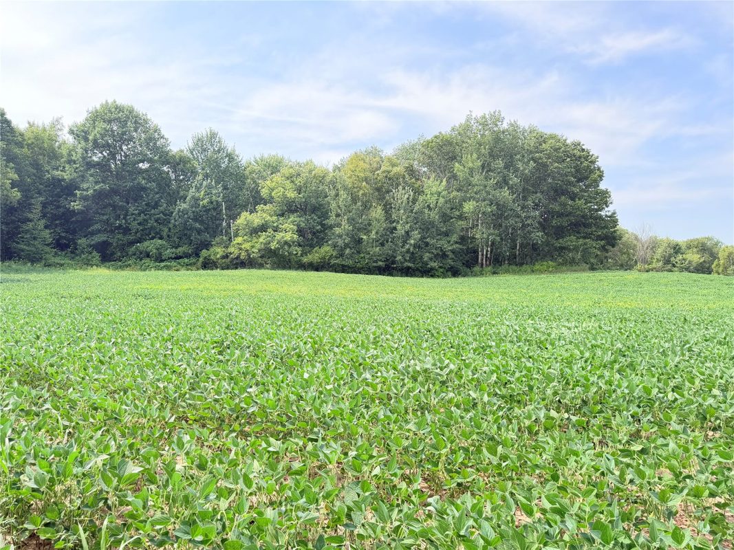 10 Acres Lot 4 230th Street, St Croix Falls WI 54024 - Land house for sale - MLS #1606210 - image7