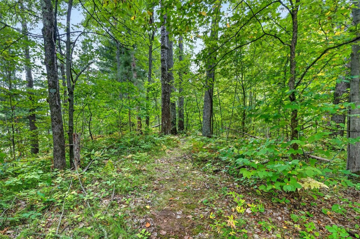 25841 Normans Landing Road, Webster WI 54893 - Residential house for sale - MLS #1604566 - image30