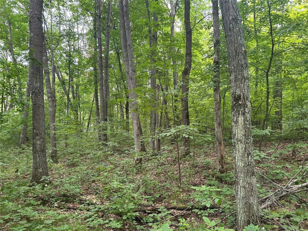 On Strabel Road, Stone Lake WI 54876 - Land house for sale - MLS #1604177 - image17