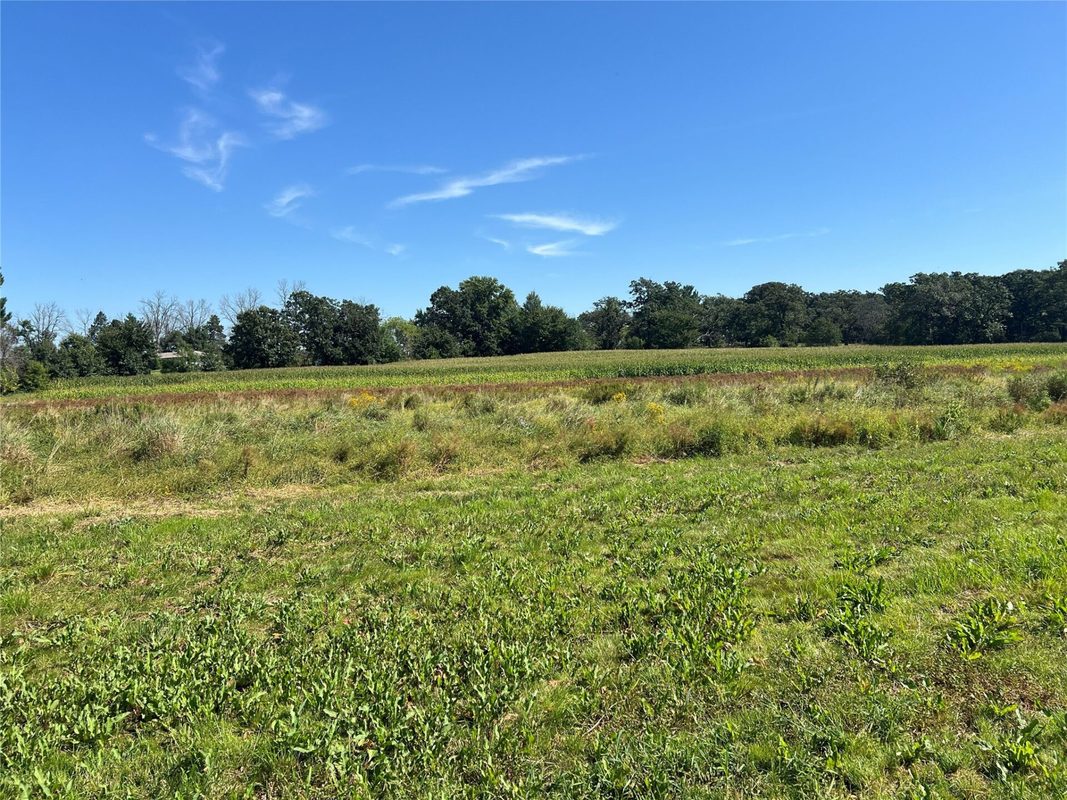 14207 Holmes Road, Hixton WI 54635 - Farm house for sale - MLS #1604847 - image47