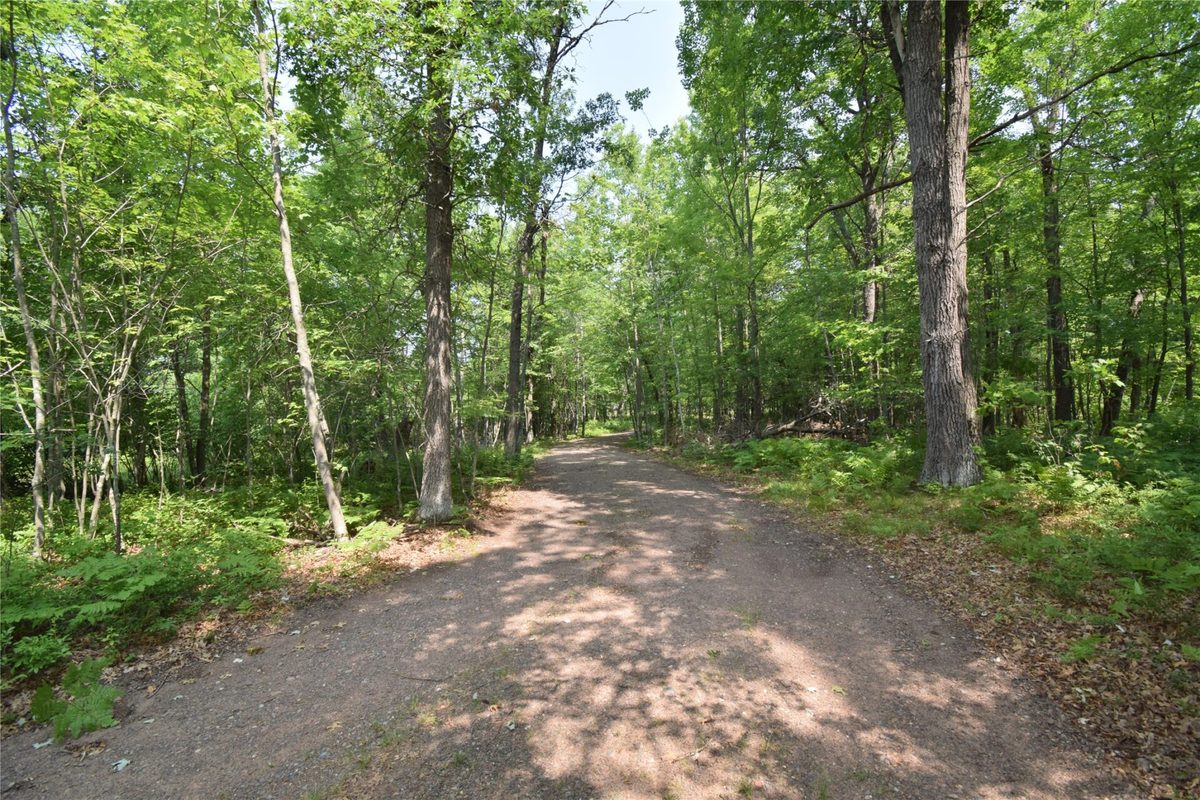 8533 Bass Lake Road, Danbury WI 54830 - Land house for sale - MLS #1603526 - image22