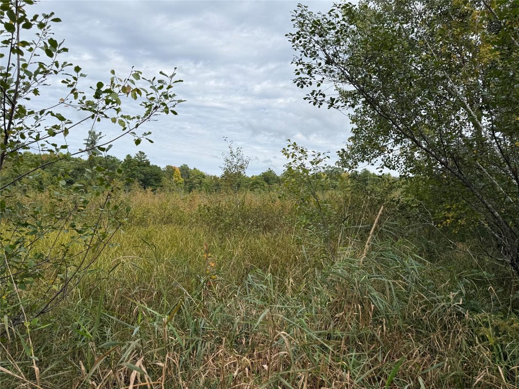 XXX 23 1/2 Street, Rice Lake WI 54868 - Land house for sale - MLS #1605312 - image25