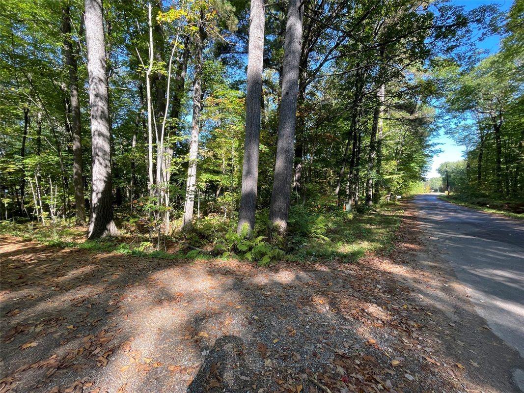 6073 Elsie Road, Stone Lake WI 54876 - Land house for sale - MLS #1602616 - image7