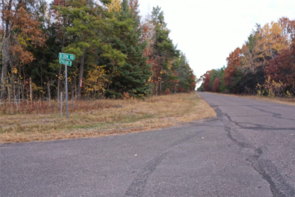 Lot 1 Spaulding Road, Grantsburg WI 54840 - Land house for sale - MLS #1606124 - image9