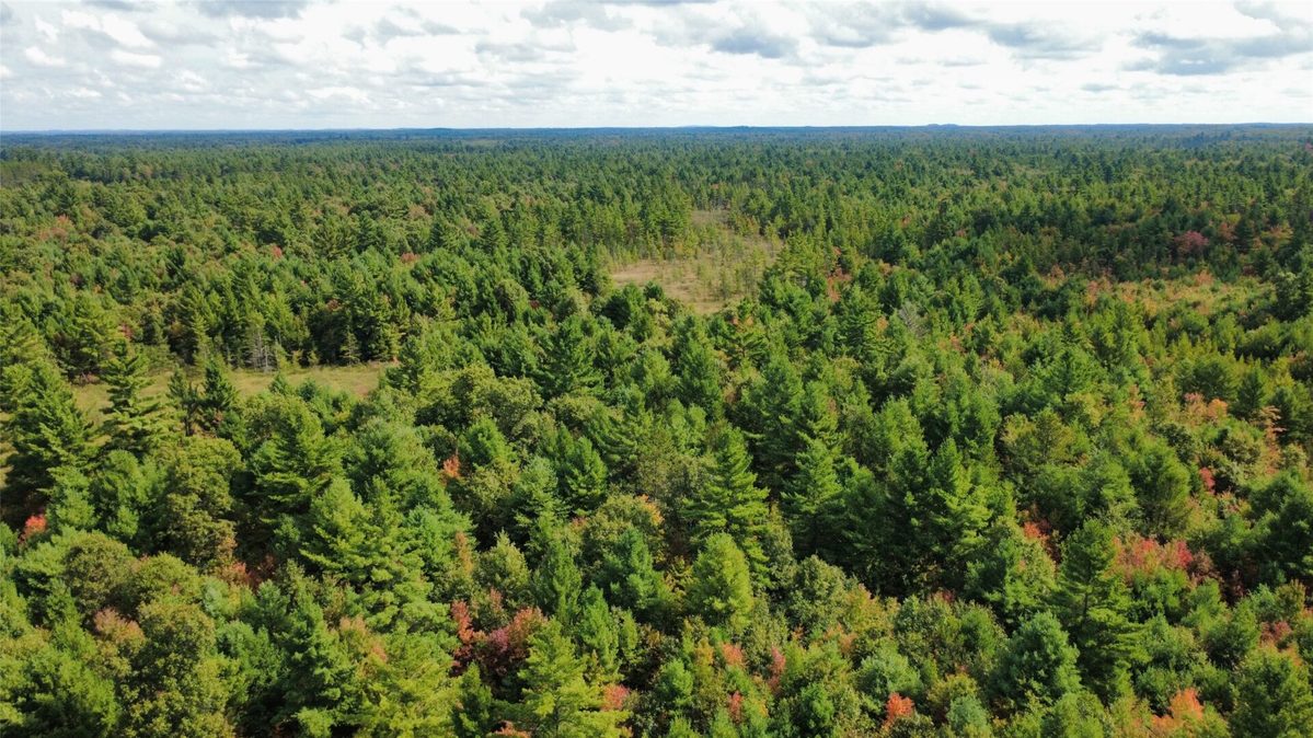 W4199 Ballard Road, Neillsville WI 54456 - Land house for sale - MLS #1605652 - image13