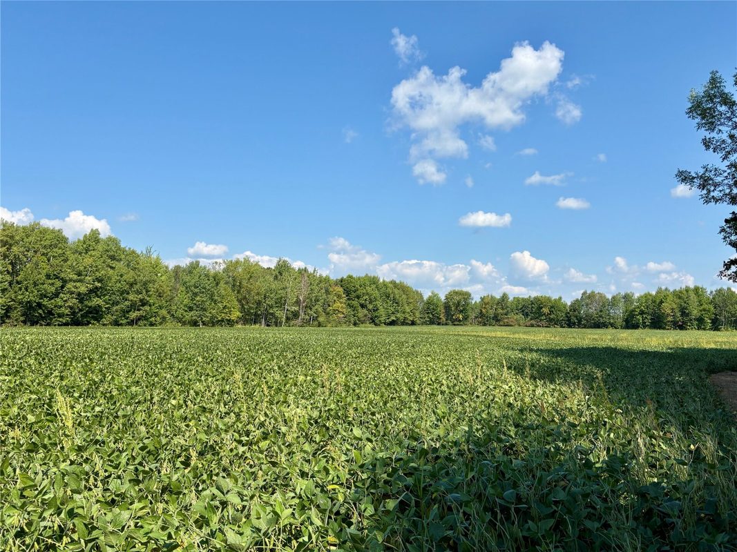 W16860 Cty Rd D, Sheldon WI 54766 - Land house for sale - MLS #1604631 - image30