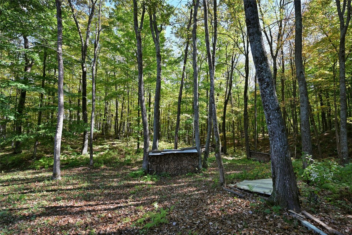 W3917 County Highway D, Sarona WI 54870 - Residential house for sale - MLS #1605812 - image31