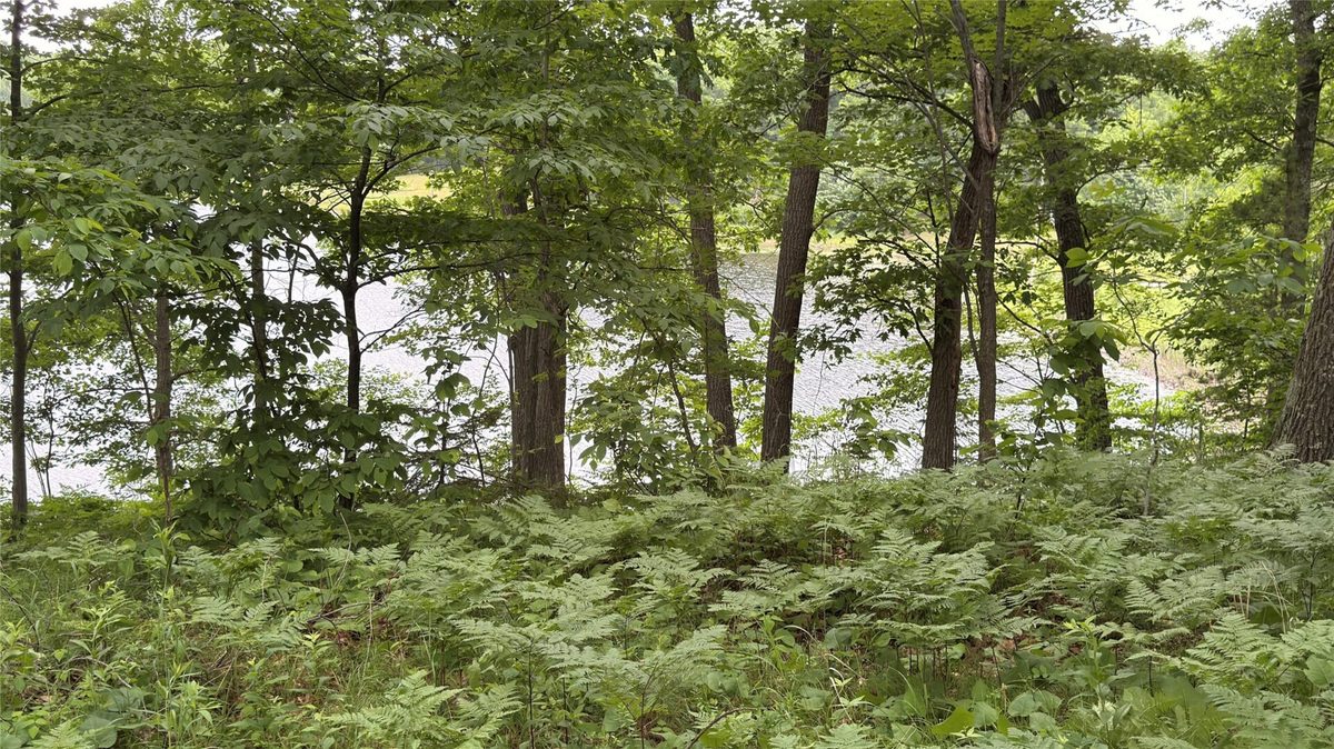 765 270th Ave Cty Rd O, Frederic WI 54837 - Land house for sale - MLS #1602300 - image15